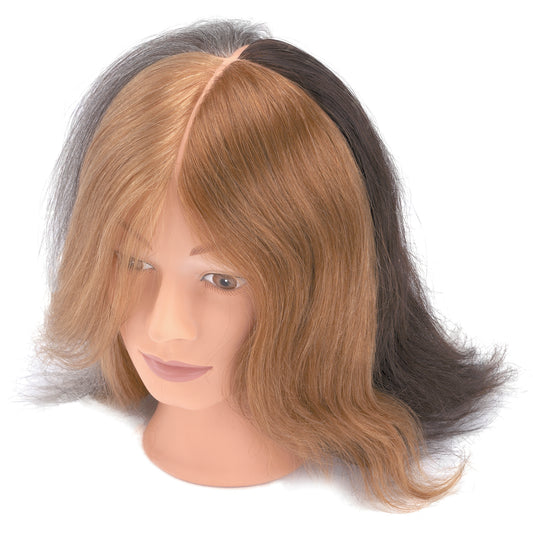 Babyliss Pro 4 colors 10 inch Mannequin